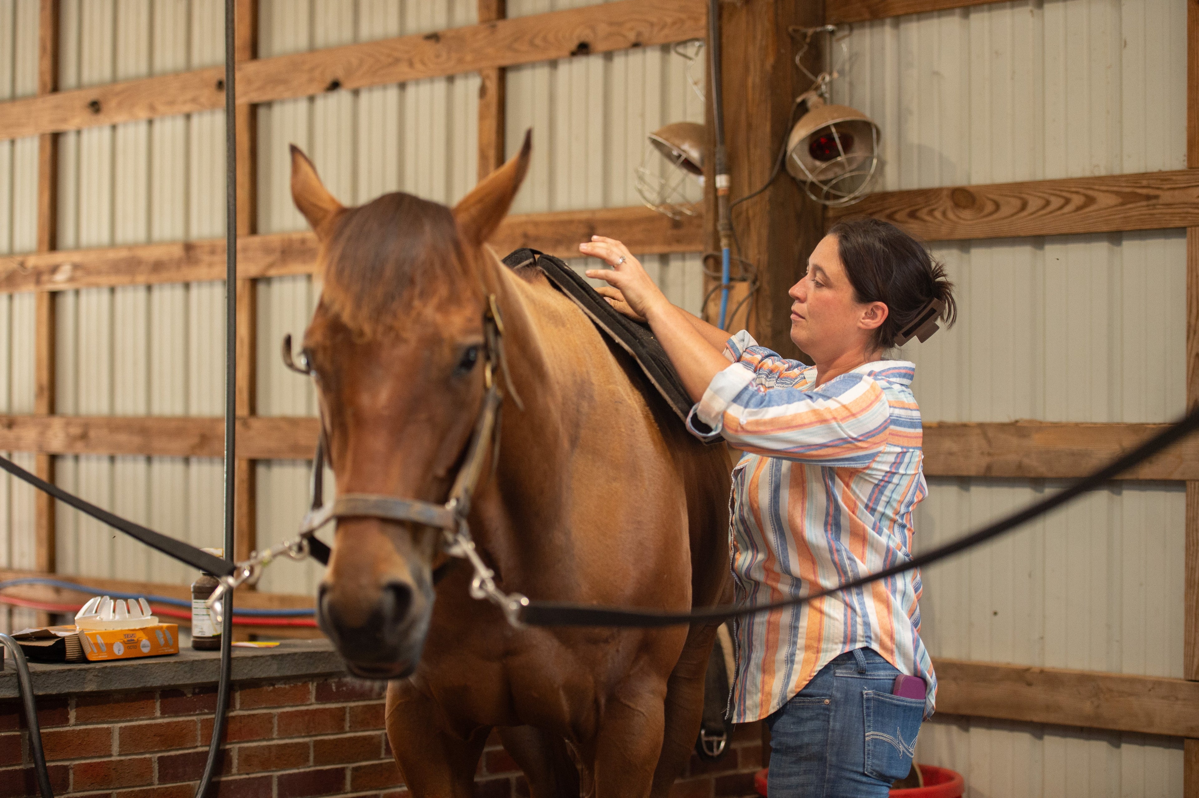 TruEquine™: The Science Behind a More Resilient Horse