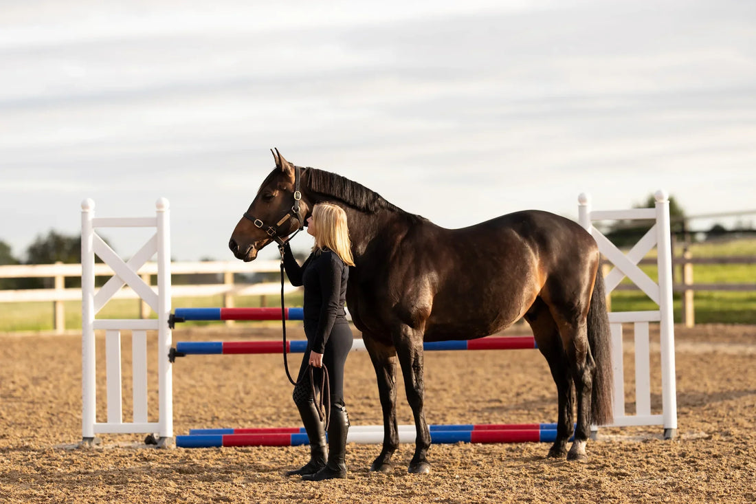 Travel, Competition and Colic: Reducing Digestive Disruption on the Road