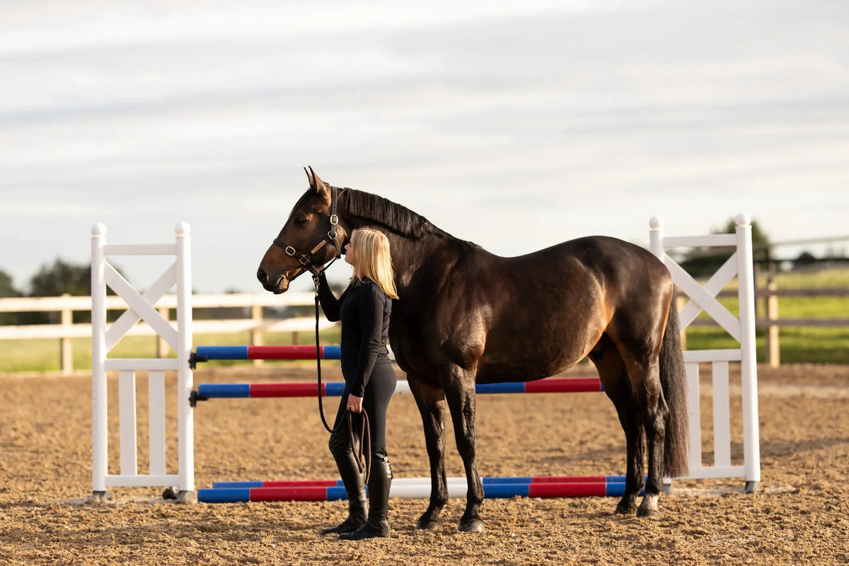 Travel, Competition and Colic: Reducing Digestive Disruption on the Road