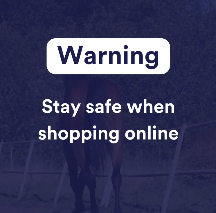 Warning: Online Fraud and Safe Online Shopping