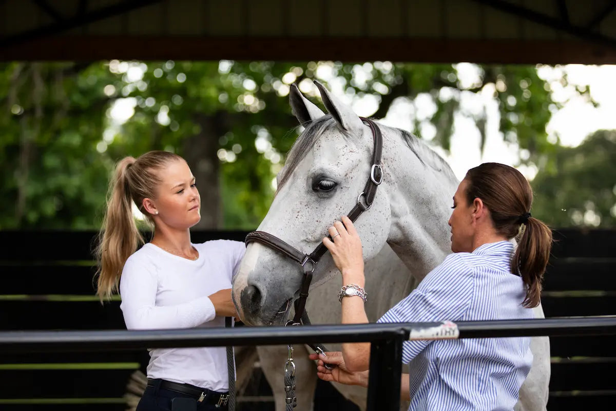 Horse Colic: What to Do While You Wait for the Vet