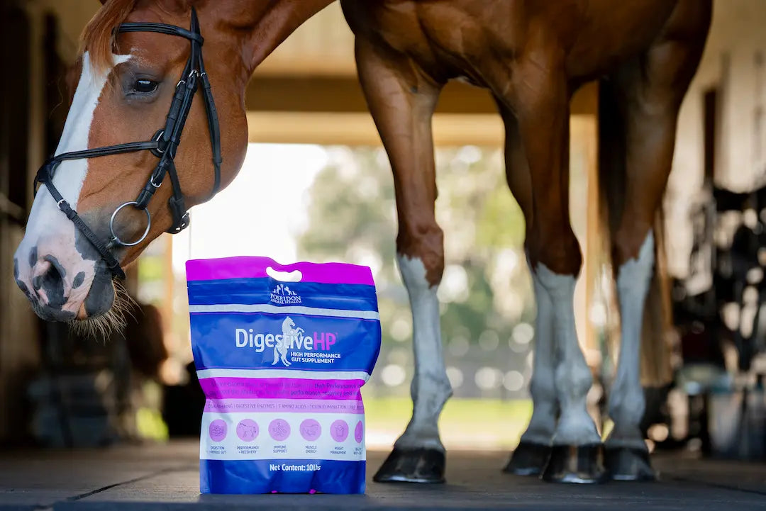 TruEquine™: The Science Behind a More Resilient Horse