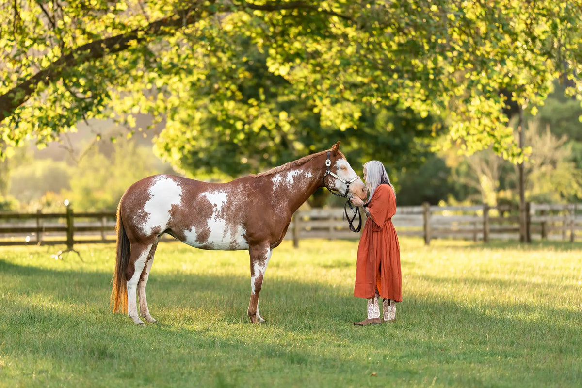 Feeding to Reduce the Risk of Colic in Horses