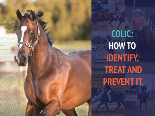 Colic: How To Identify, Treat, and Prevent It
