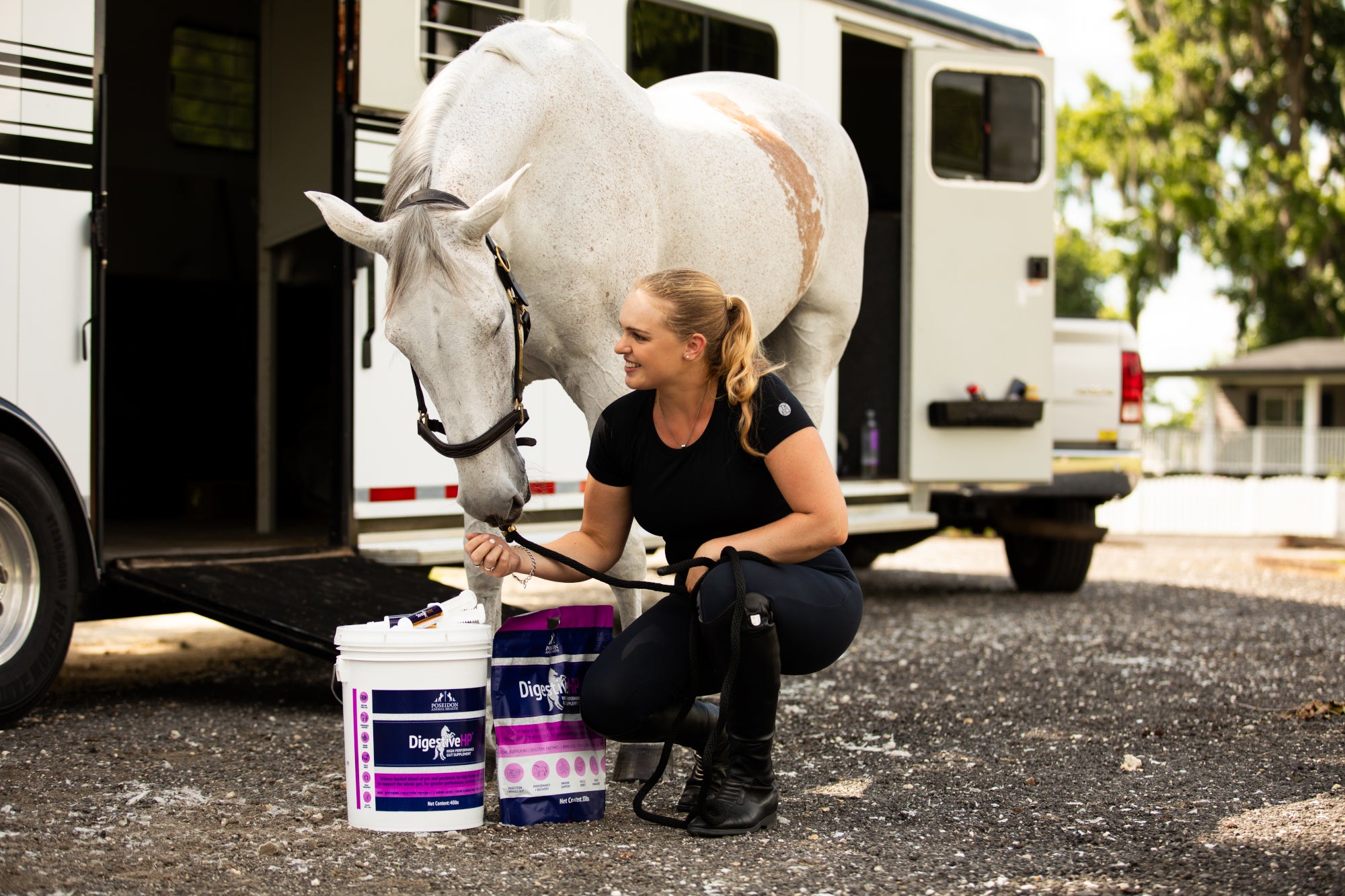 Competition-Ready Gut Support for Your Performance Horse