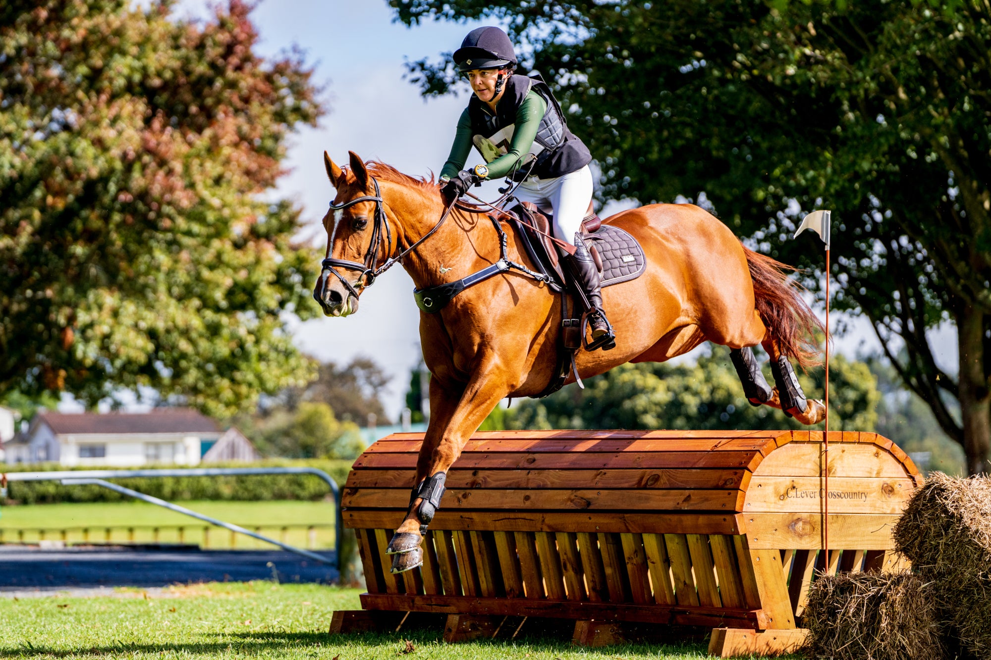 Horse Gut Supplements | Equine Gut & Horse Digestive Supplements ...