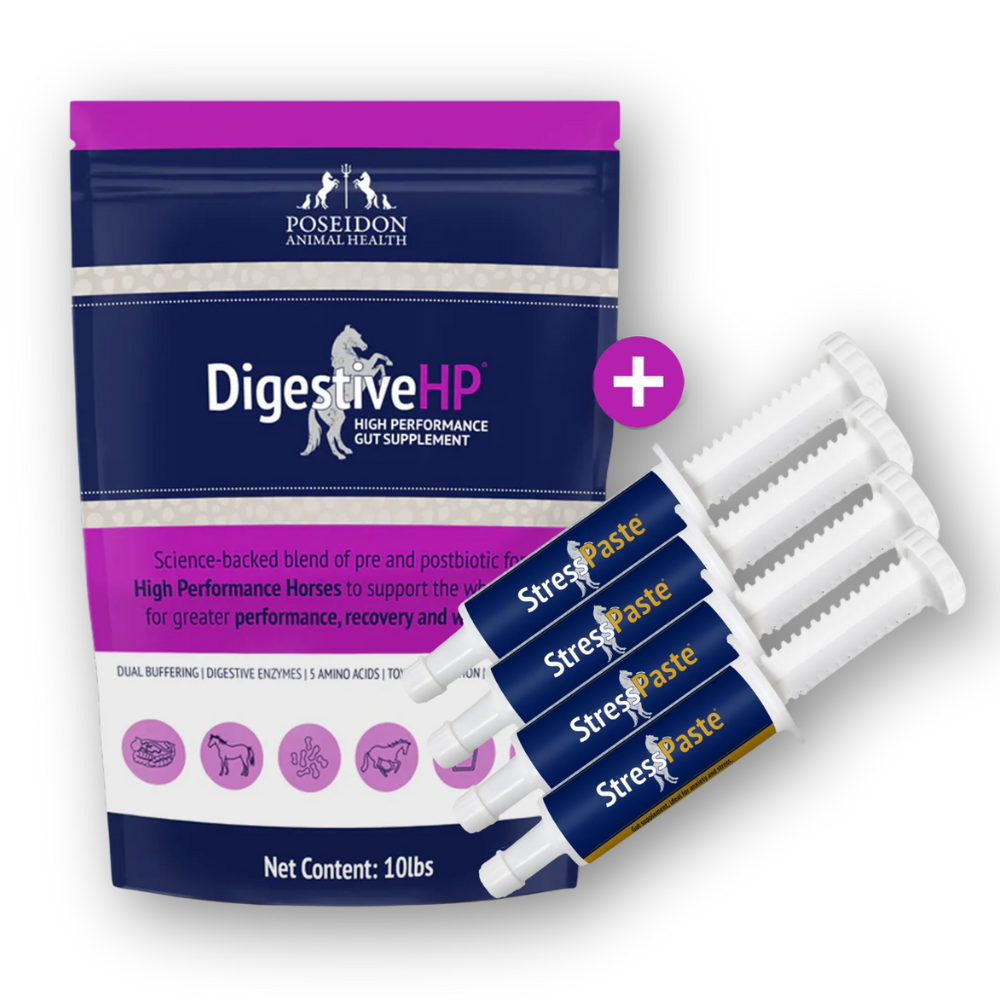 Gut Health Reset Pack — DigestiveHP and Stress Paste