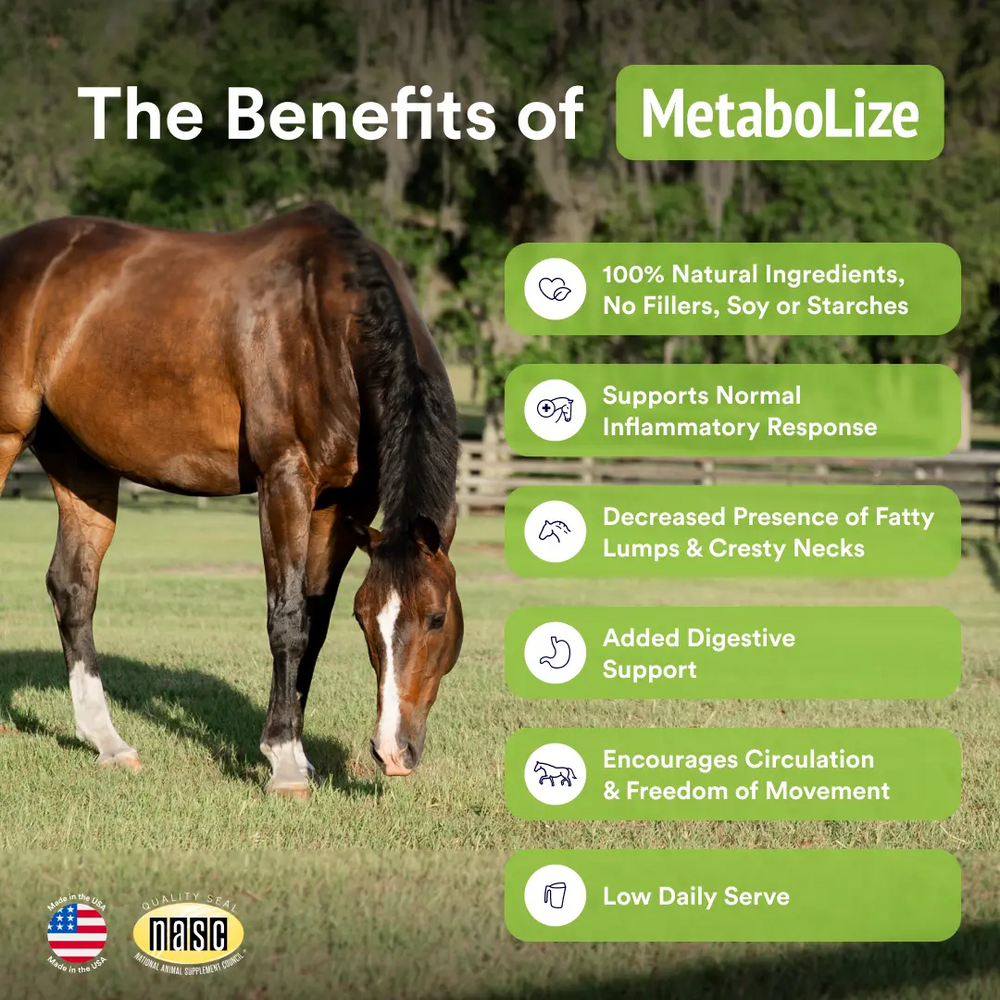 MetaboLize®