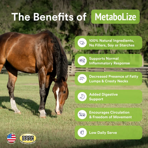 MetaboLize®
