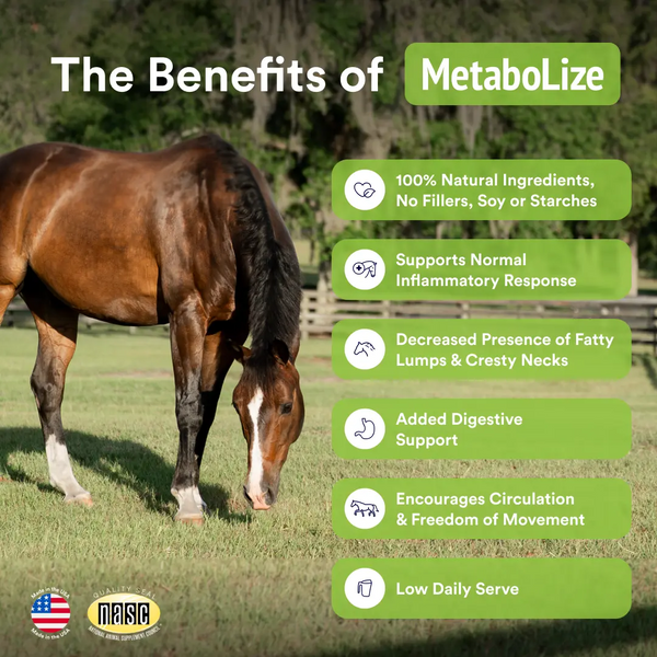 MetaboLize®