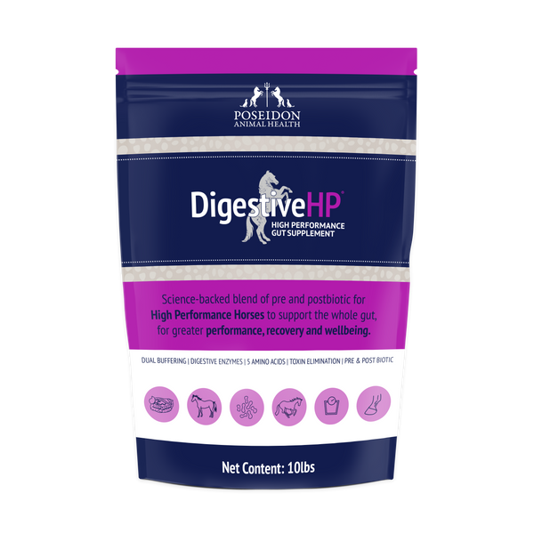 DigestiveHP gut health supplement for horses
