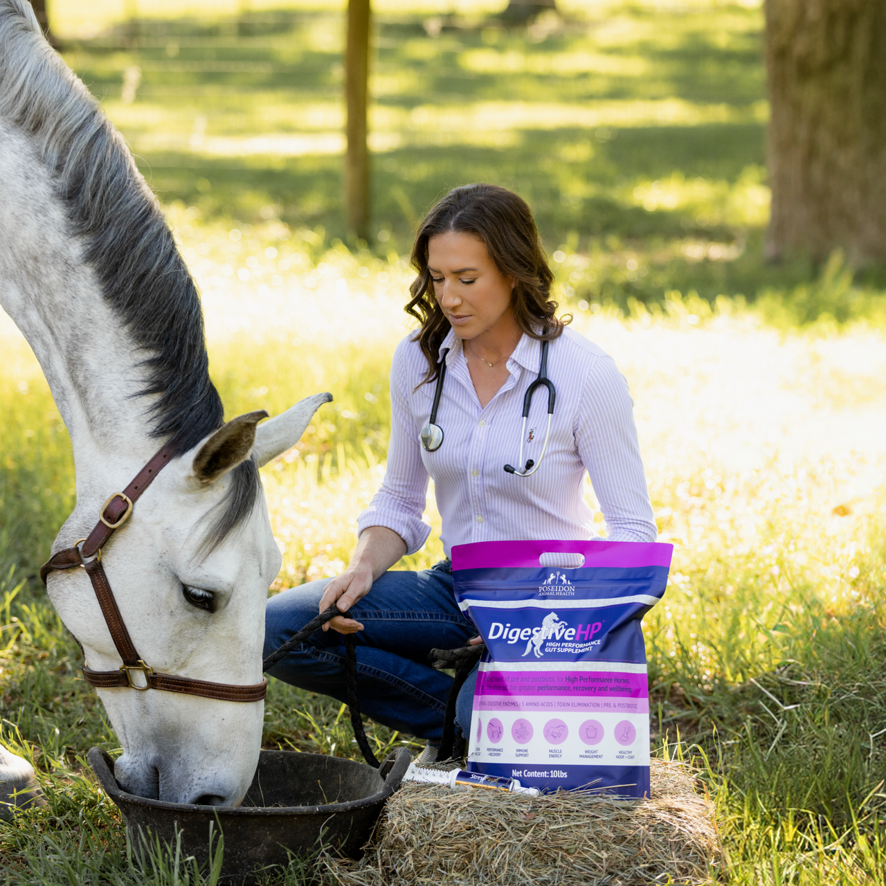 Gut Health Reset Pack