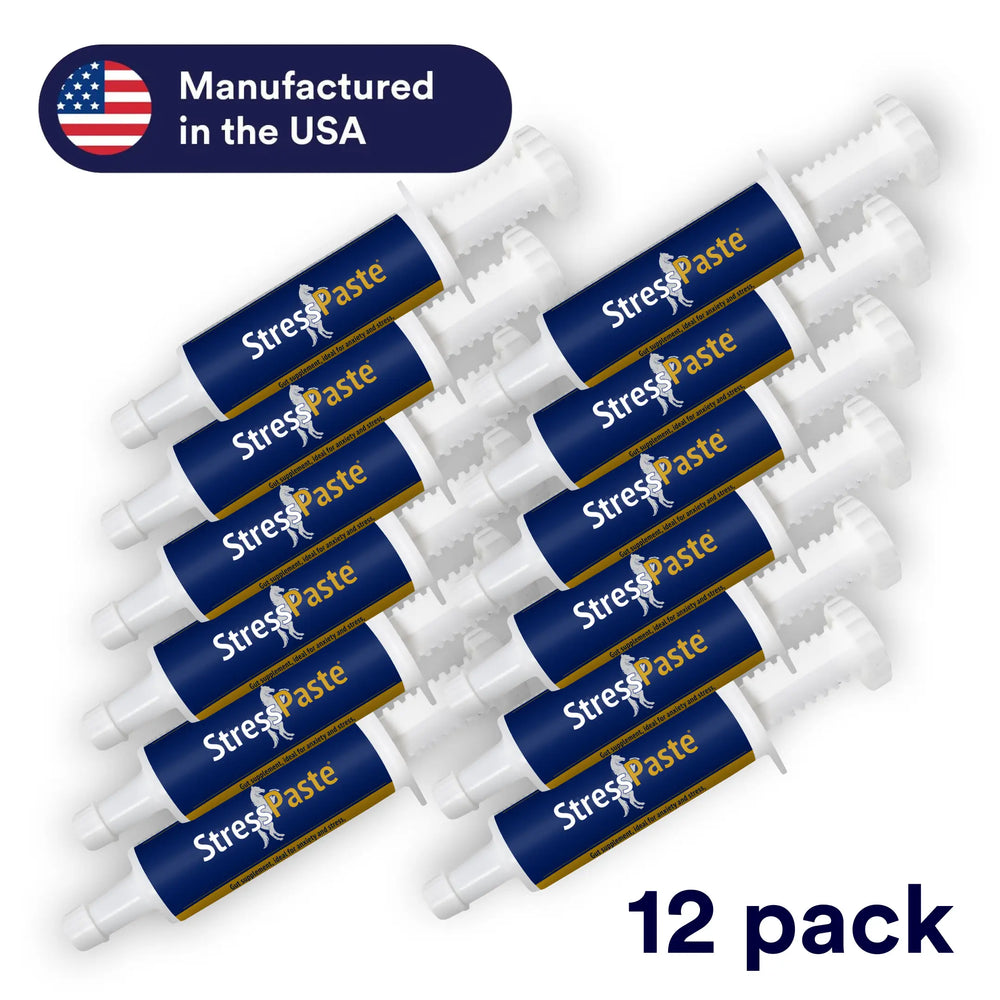 Stress Paste 12 Pack (Wholesale)