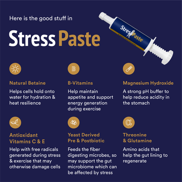 Stress Paste