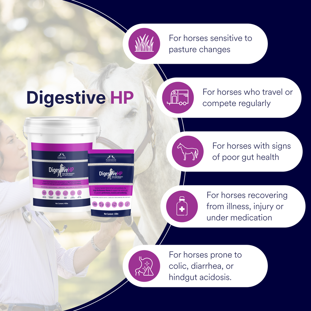Digestive Plus Digestive HP