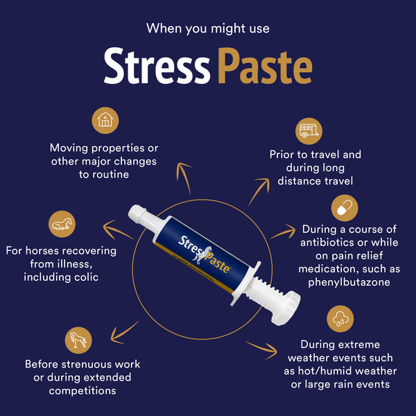 Stress Paste